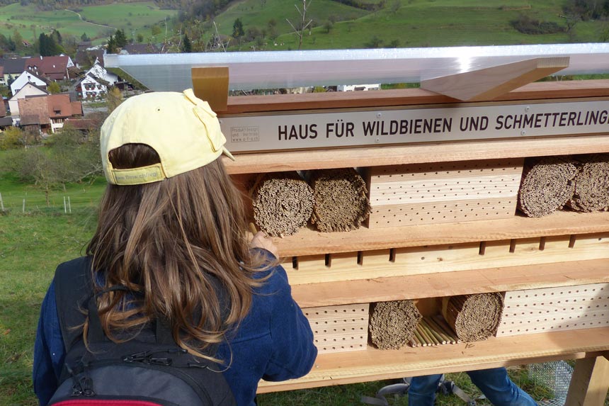 Wildbienenhaus