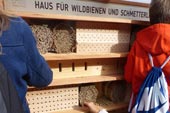 Wildbienenhaus